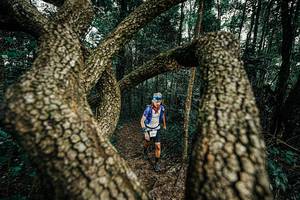 BIB: 
                            <button type="button" onclick="openModal(25393007)" class="btn btn-primary btn-sm float-right btn-popup" data-toggle="modal" data-target=".modal-high-quality">
                        <i class="fas fa-shopping-cart"></i> Add to Cart
                    </button>
                                            <button type="button" onclick="isThisMe(25393007, true)" class="btn btn-success btn-sm float-right btn-popup btn-isme hidden" data-toggle="tooltip" data-placement="bottom" title="นี่คือรูปของคุณใช่ไหม คลิกที่นี่เพื่อเอาเข้าอัลบั้ม">
                        <i class="fas fa-plus"></i> Add to album
                    </button>
                    <button type="button" onclick="isThisMe(25393007, false)" class="btn btn-warning btn-sm float-right btn-popup btn-isnotme hidden">
                        <i class="fas fa-ban"></i> Remove from album
                    </button>